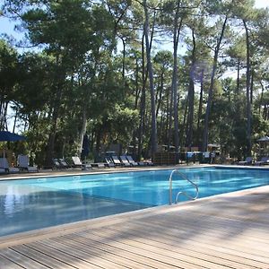 Superior Chalet